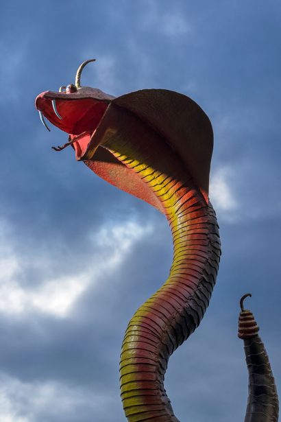 St. John's Wort: Demon exorciser