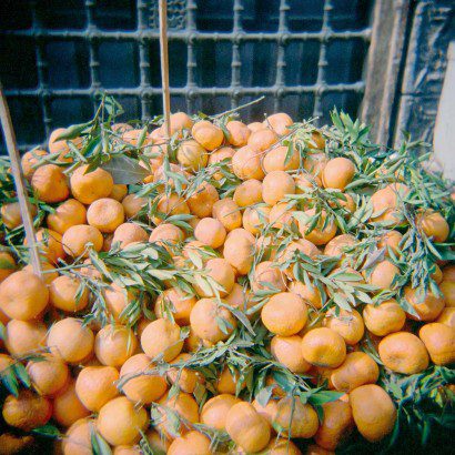 Oranges are not the only fruit