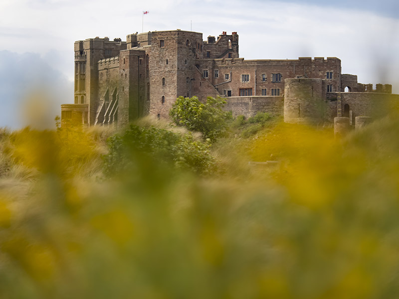 Bamburgh Castle Photography Workshop