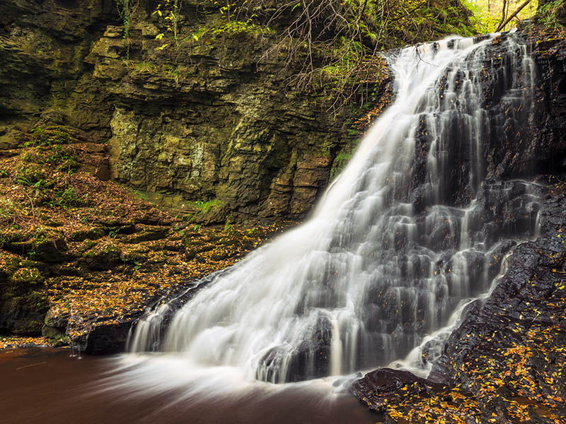 Hareshaw Linn Photography Workshop