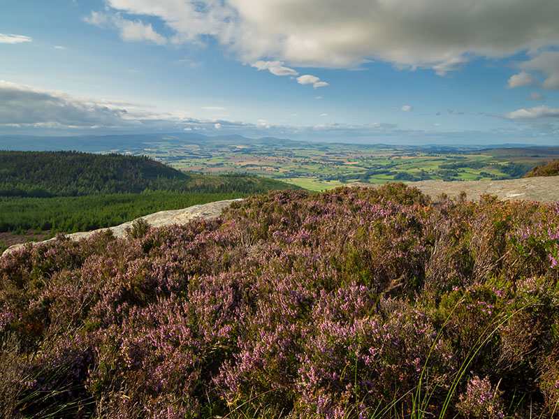 Simonside Photography Workshop